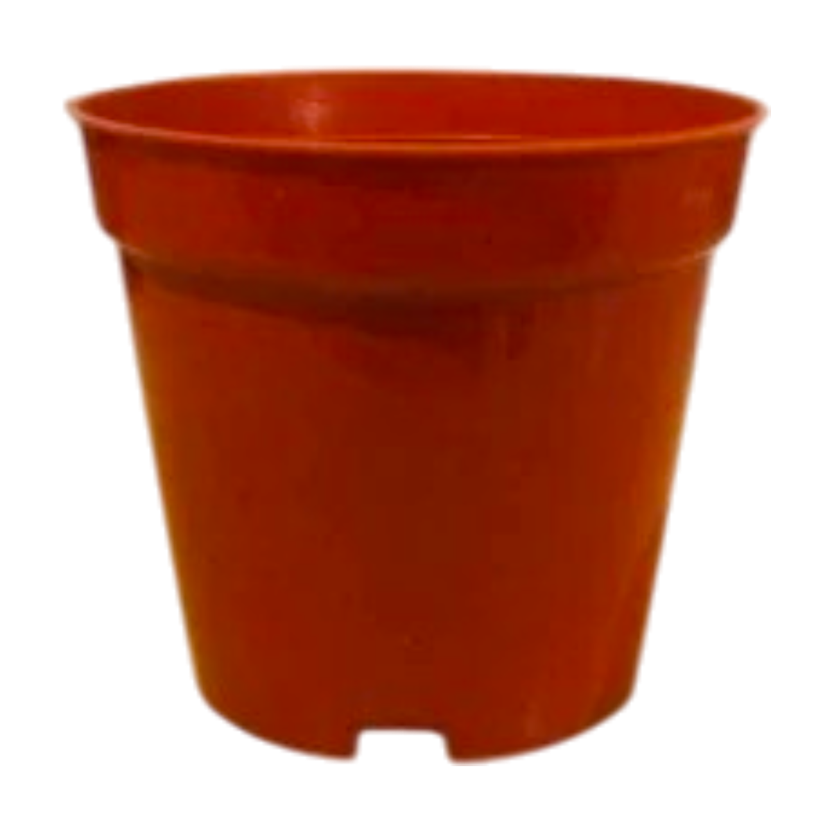 3" Nursery Pot